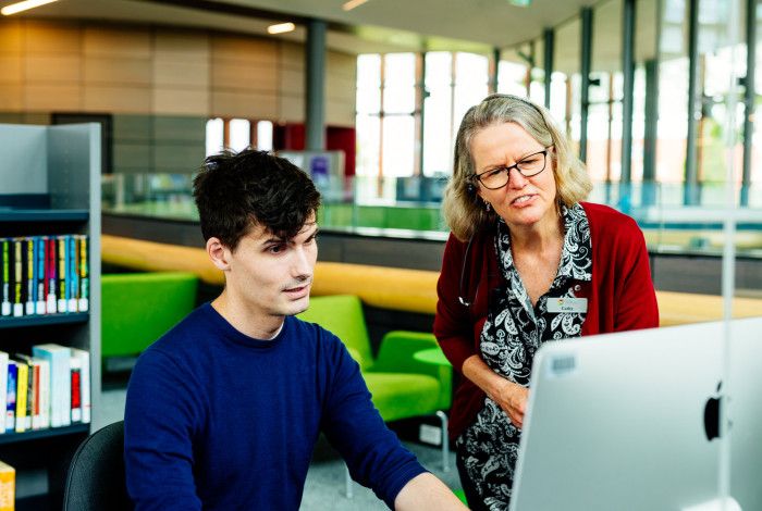 Image: A staff member assisting a person using a computer.