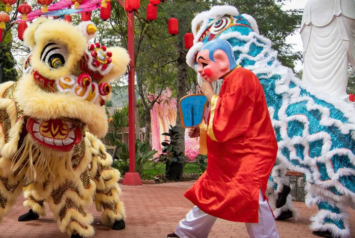 A person in lion costume perforrming a dance routine