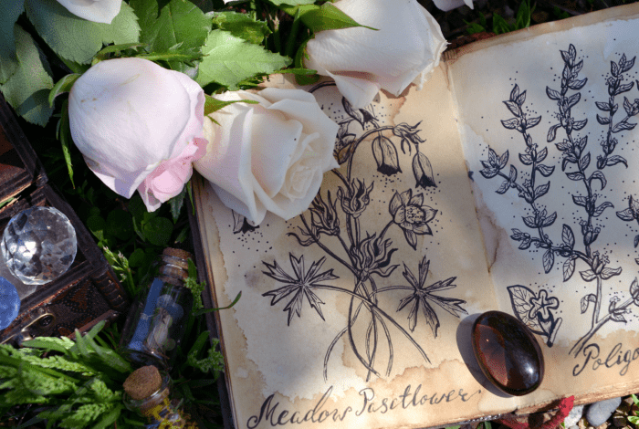 An botanical art book open in a garden with flowers.