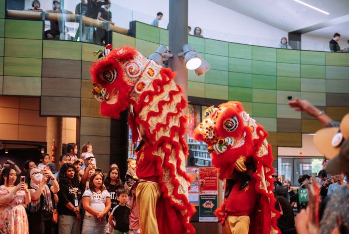 Traditional lion dance with two lions rising above a crowd in the library.