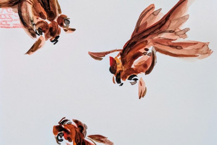 Three ink painted goldfish on a white background.