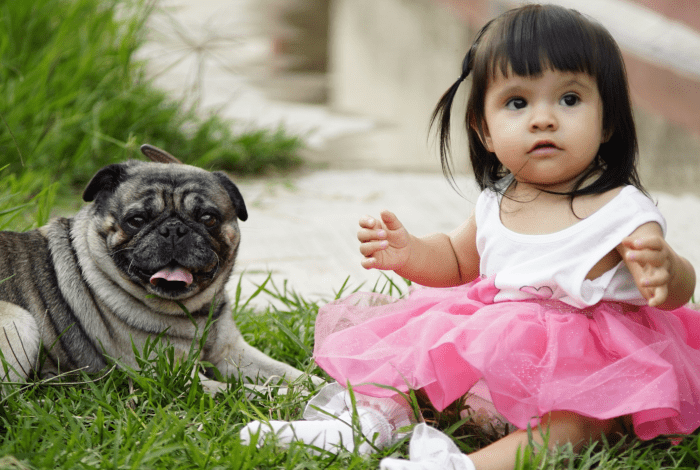 Child and a dog sitting on grass.