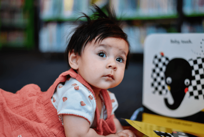 Child reading a board book in the library.