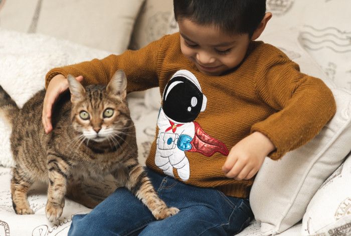 A boy sitting on a couch with a cat about to get on his knee. 