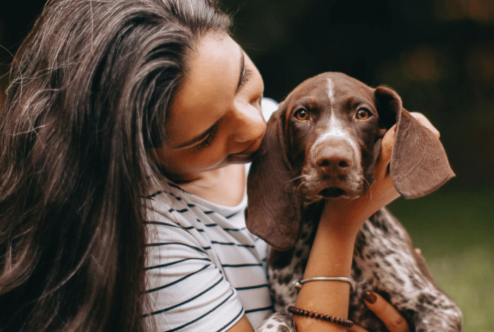 A woman gently holds a brown and white dog outdoors, with the dog looking directly at the camera.