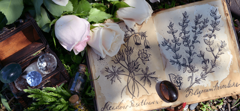 An botanical art book open in a garden with flowers