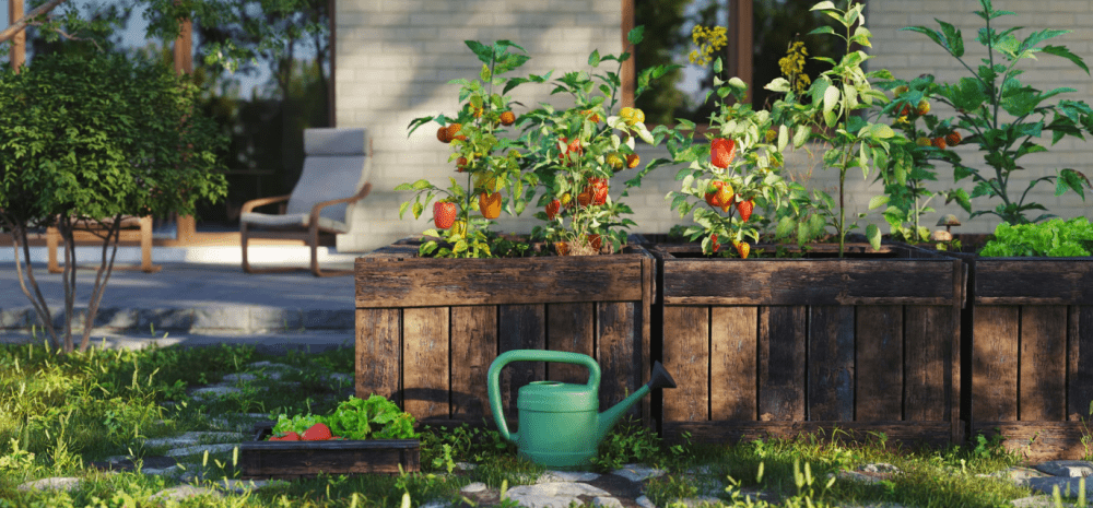 Garden with vegetable planter boxes.