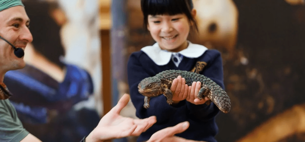 A little girl holding a lizard. 