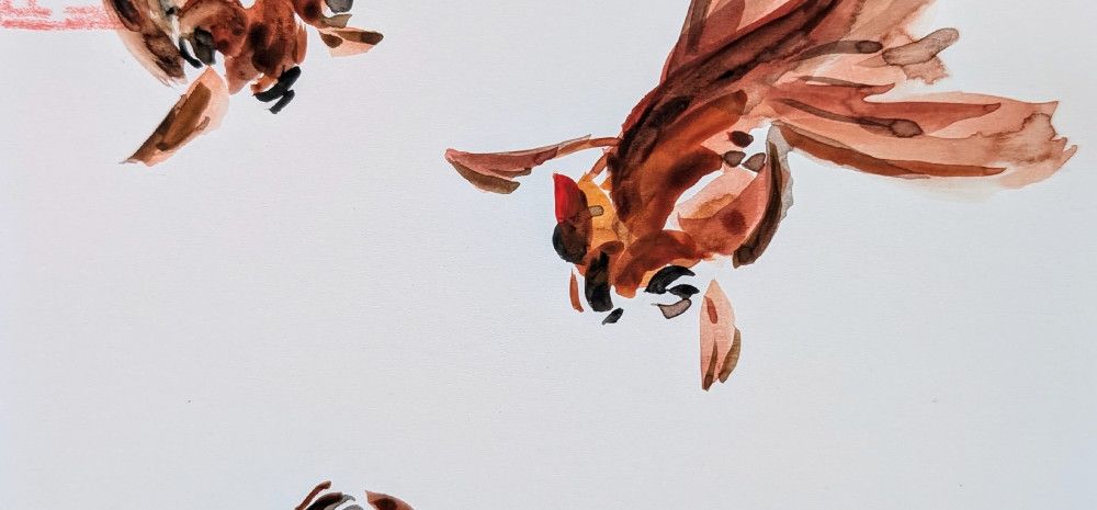 Three ink painted goldfish on a white background.