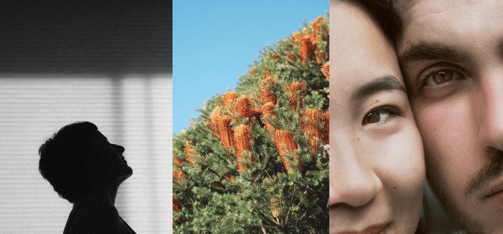 Three panel picture. The first a man's silhouette, the second a wattle tree, the third a close up of two peoples faces side by side. 