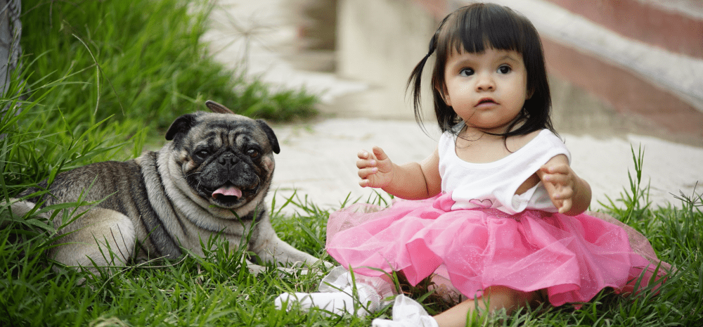 Child and a dog sitting on grass.