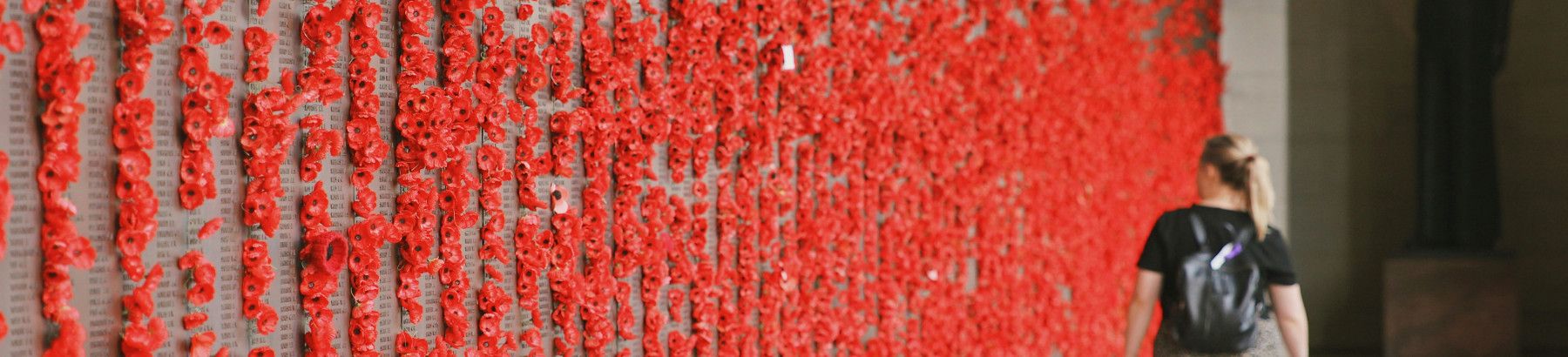 A person walking past a memorial wall with poppies.