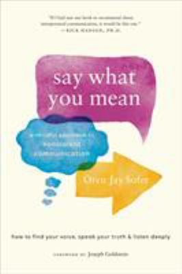 Say What You Mean by Oren Jay Sofer