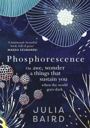 Phosphorescence by Julia Baird