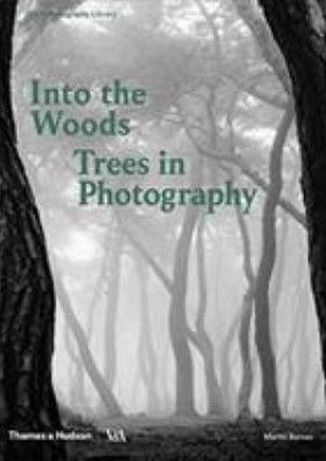 Into the woods by Martin Barnes