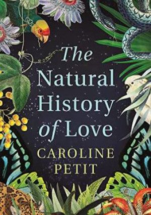 The Natural History of Love by Carol Petit