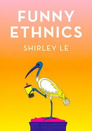 Funny Ethnics by Shirley Le