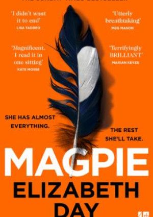 Magpie by Elizabeth Day.