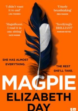 Magpie by Elizabeth Day.
