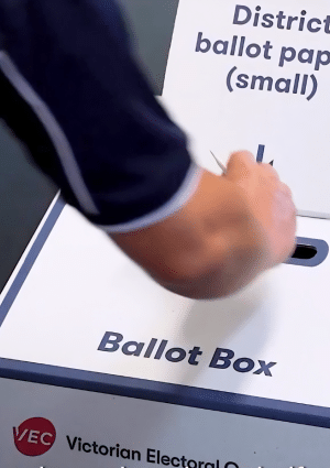 Person casting a ballot paper in a ballot box.